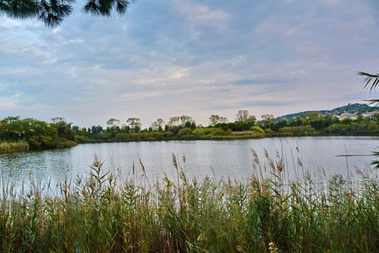 Oasi Parco dei Laghetti